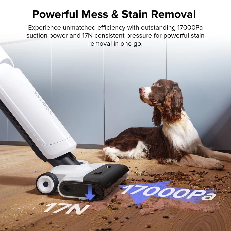 Roborock Flexi Lite Wet and Dry Vacuum Cleaner
