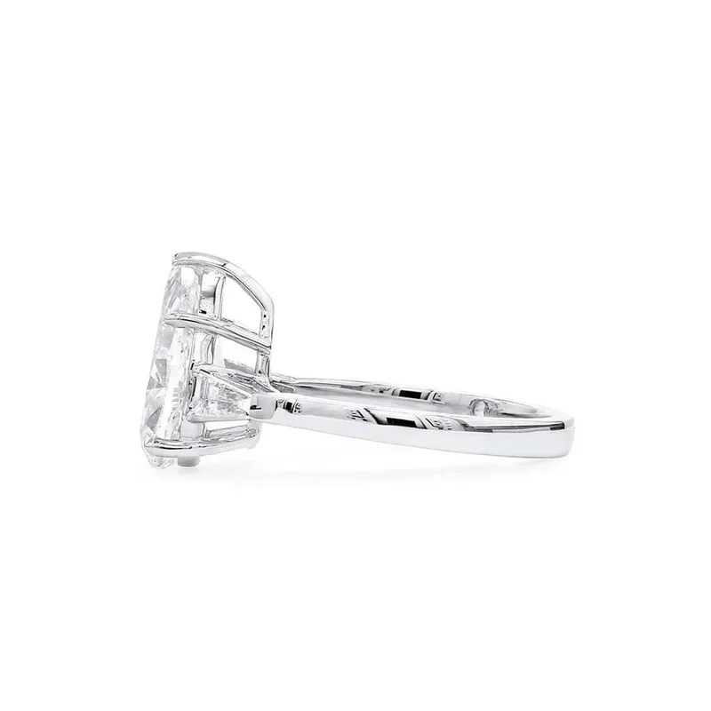 S925 Sterling Silver Platinum Plated Ring