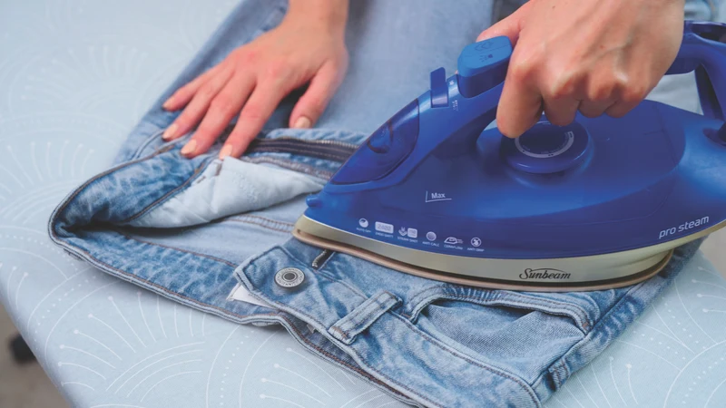 Sunbeam Pro Steam Breeze Iron