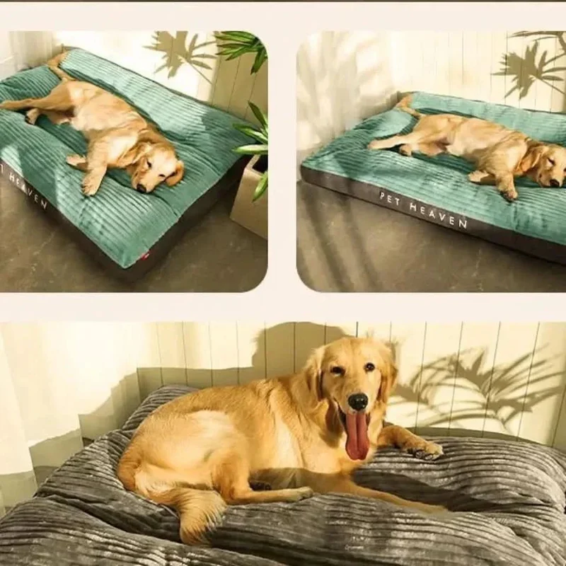 Behagelig hundeseng for dybe og afslappende nætter
