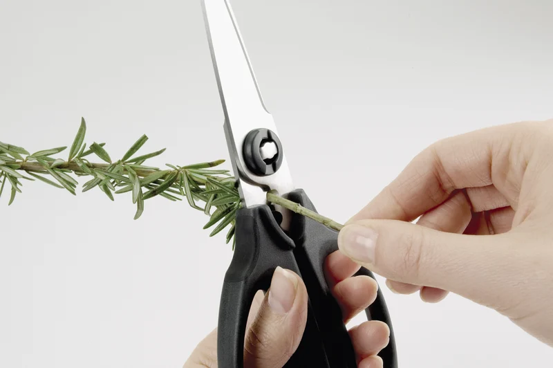OXO Kitchen And Herb Scissors