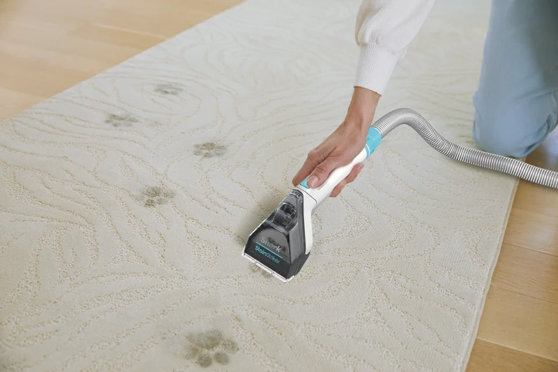 Shark CarpetXpert with StainStriker Carpet Washer