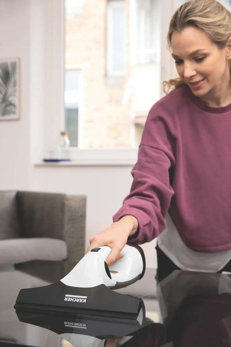 Karcher WV2 Window Vacuum