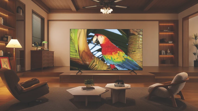 TCL 75" C655 QLED Google TV 24