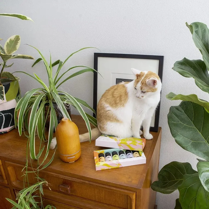 Aroma Diffuser i træ - Ultrasonisk med kølig tåge og stemningslys