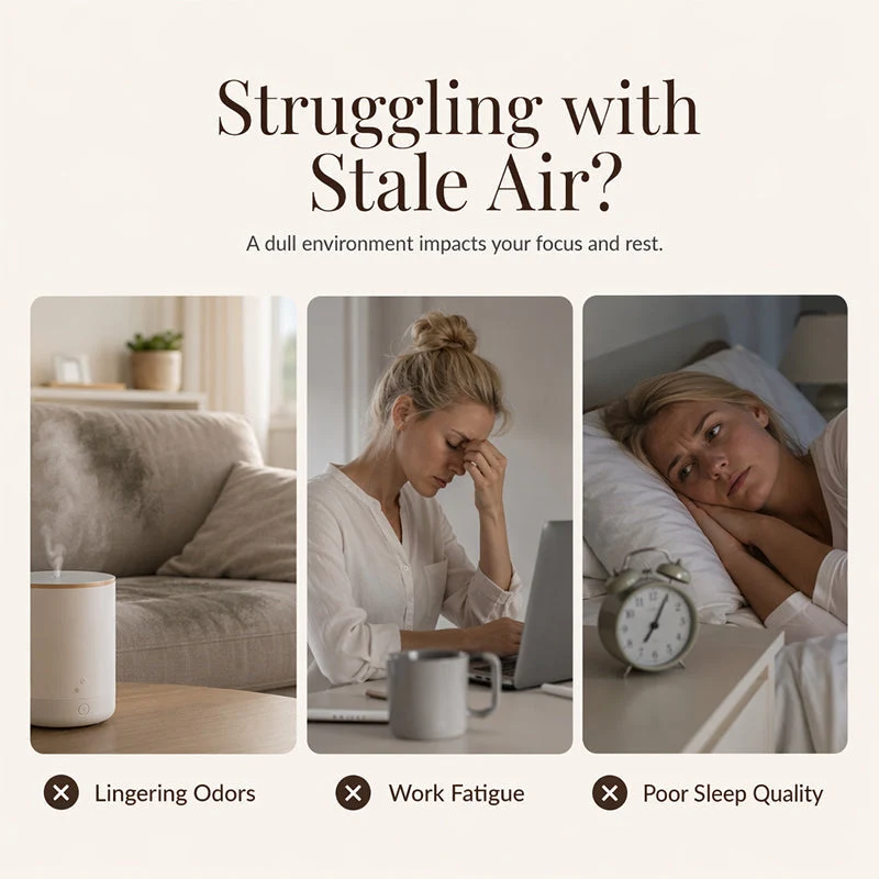 DiffuserSet: 12 Doftset För Hemmet Med Diffuserolja Och Mini Luftfuktare