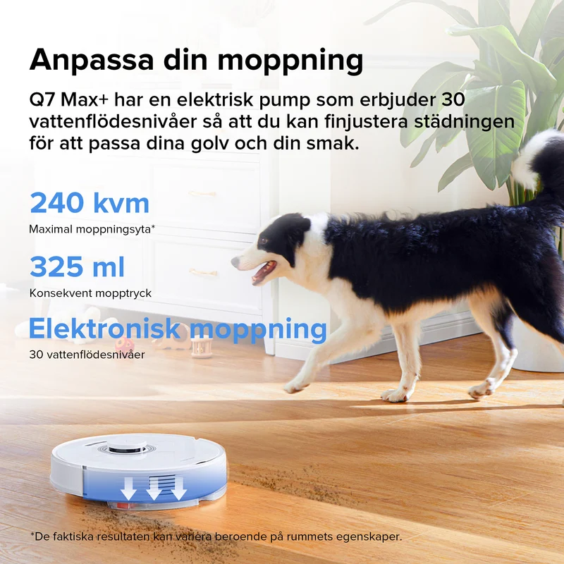 Roborock Q7 Max+ robotdammsugare med Auto-Empty Dock Pure