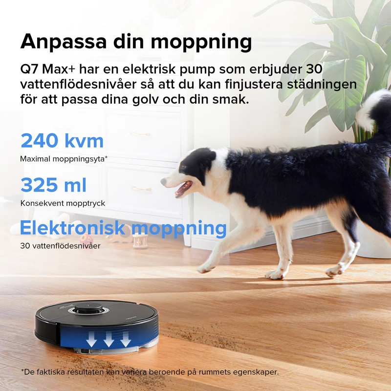 Roborock Q7 Max+ robotdammsugare med Auto-Empty Dock Pure
