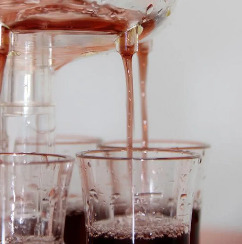 ShotDispenser™ - 6 Shot Glas Dryck Part Dispenser