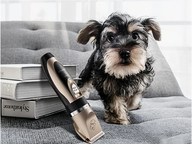 Electric Clipper Set för husdjur - Perfekt för hundar och katter