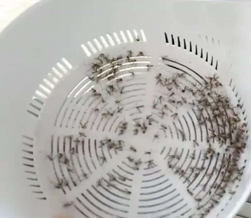 Kraftig elektrisk UV-insektslampa – Mygg- och Flugfälla med USB