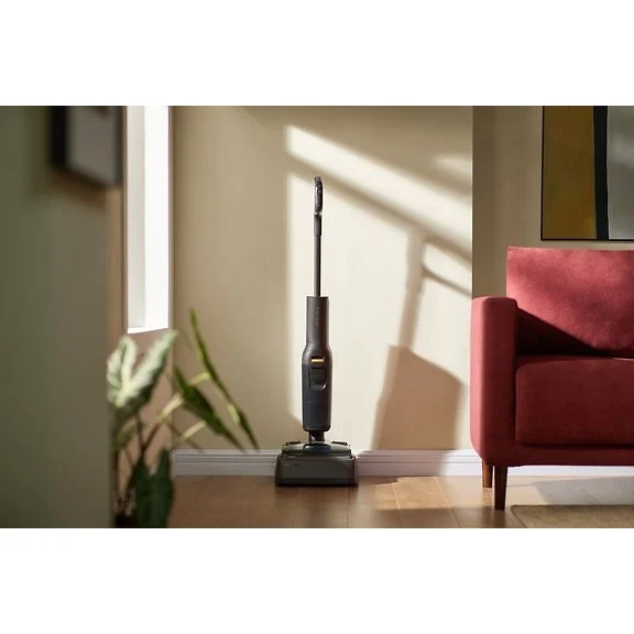 Roborock F25 ACE Wet-Dry Vacuum Cleaner, Black