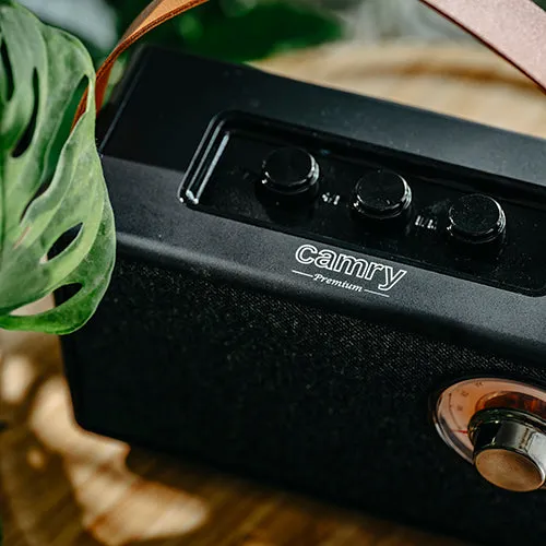 Svart FM-radio med Bluetooth