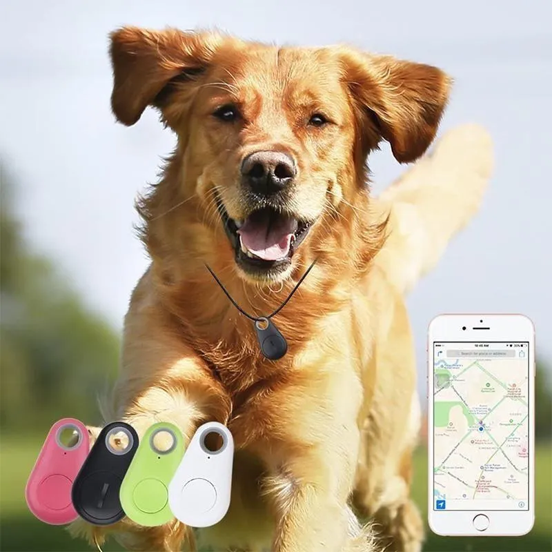 Smart GPS-Tracker til kæledyr