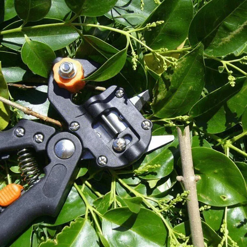 Professionelt Sæt til Havebeskæring og Omskoling