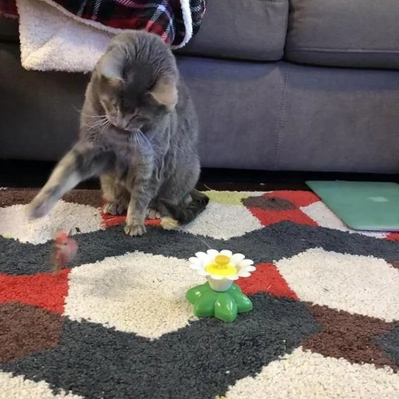 Interaktivt kattelegetøj – Purrfect Leg