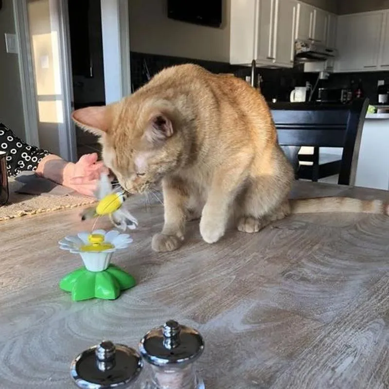 Interaktivt kattelegetøj – Purrfect Leg