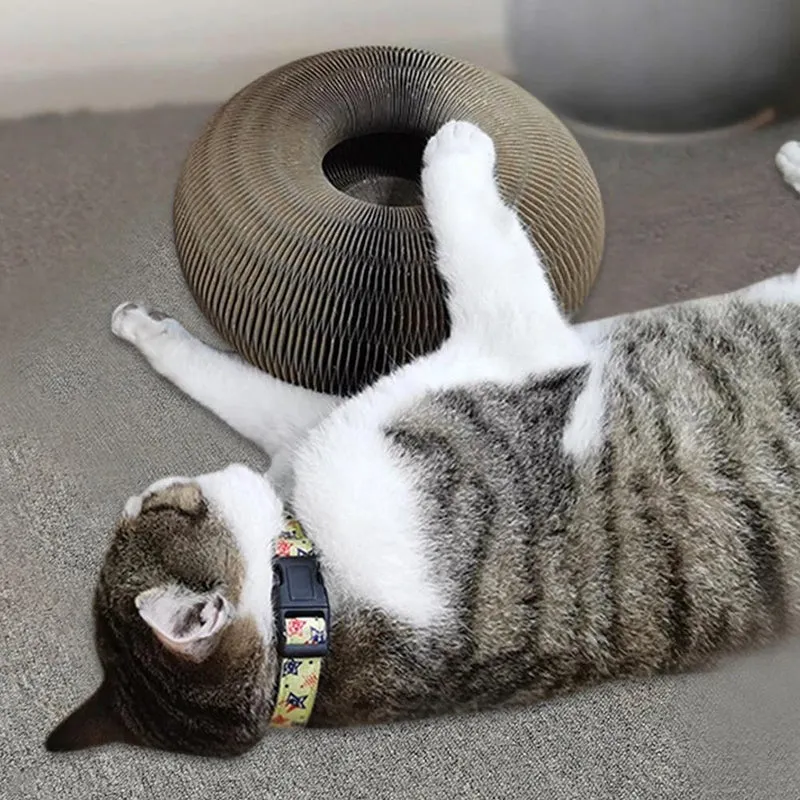 Aktiv Leg til Din Kat - PurrFit