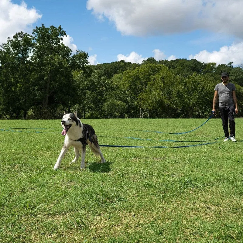 Lang nylon hundesele – Ideel til træning og udendørs aktiviteter