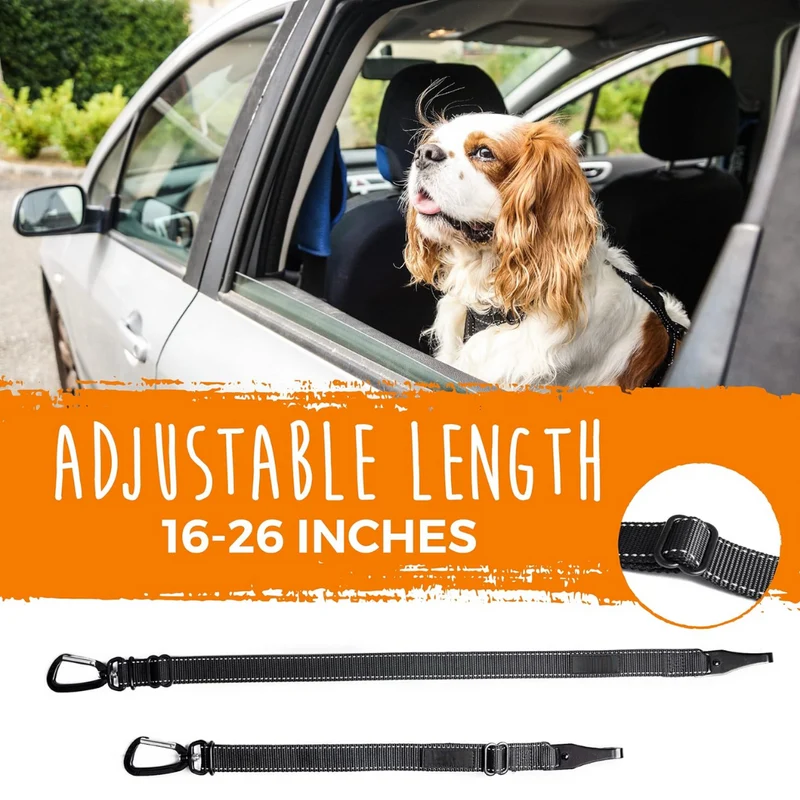 sikkerhedsgjorde til hunde – fastgør dit kæledyr på få sekunder!