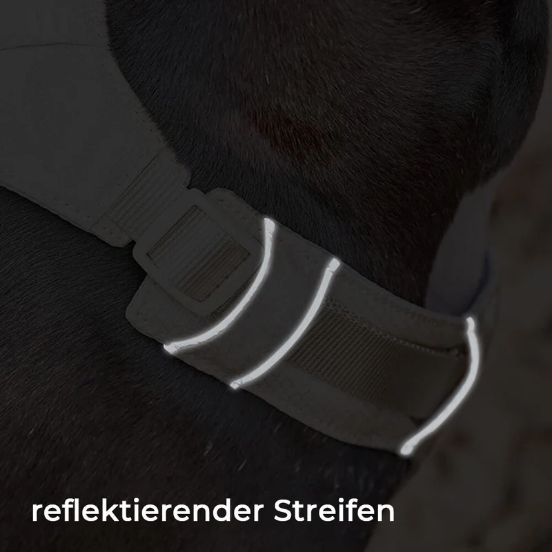 Multifunktionelt Seler til Hunde med Anti-udtræk - AquaCool