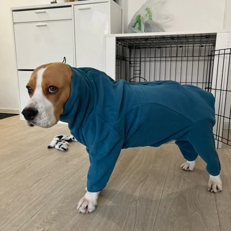 Vinterjakke til Hunde – Varm og Behagelig