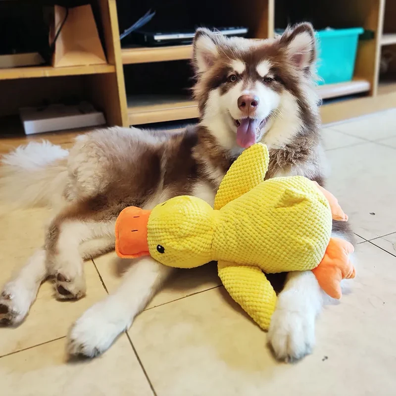 Interaktiv Hundelegetøj med Lyd og Tandpleje - FlappyDuck