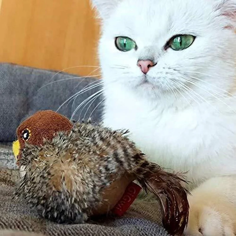 Interaktiv Kattelegetøj - ChirpBird