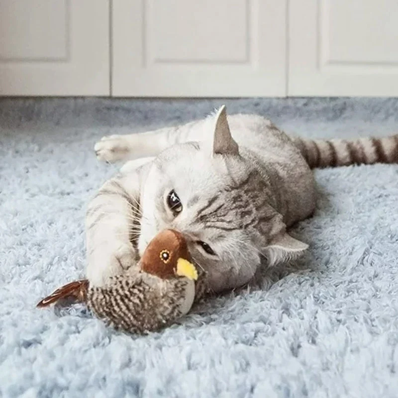 Interaktiv Kattelegetøj - ChirpBird