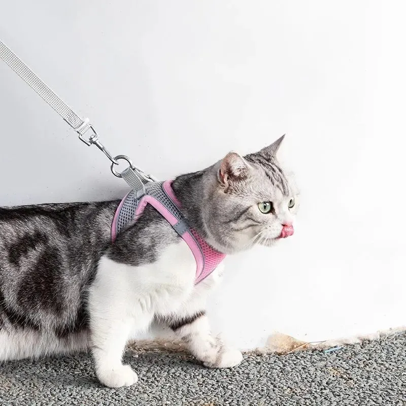 Justerbart katteharness med snor – komfortabel og sikker løsning
