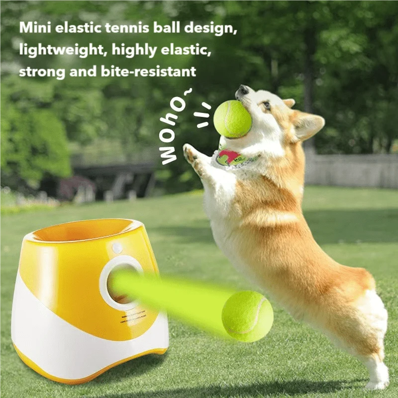 Interaktiv hundepose med automatisk boldkast og USB-opladning