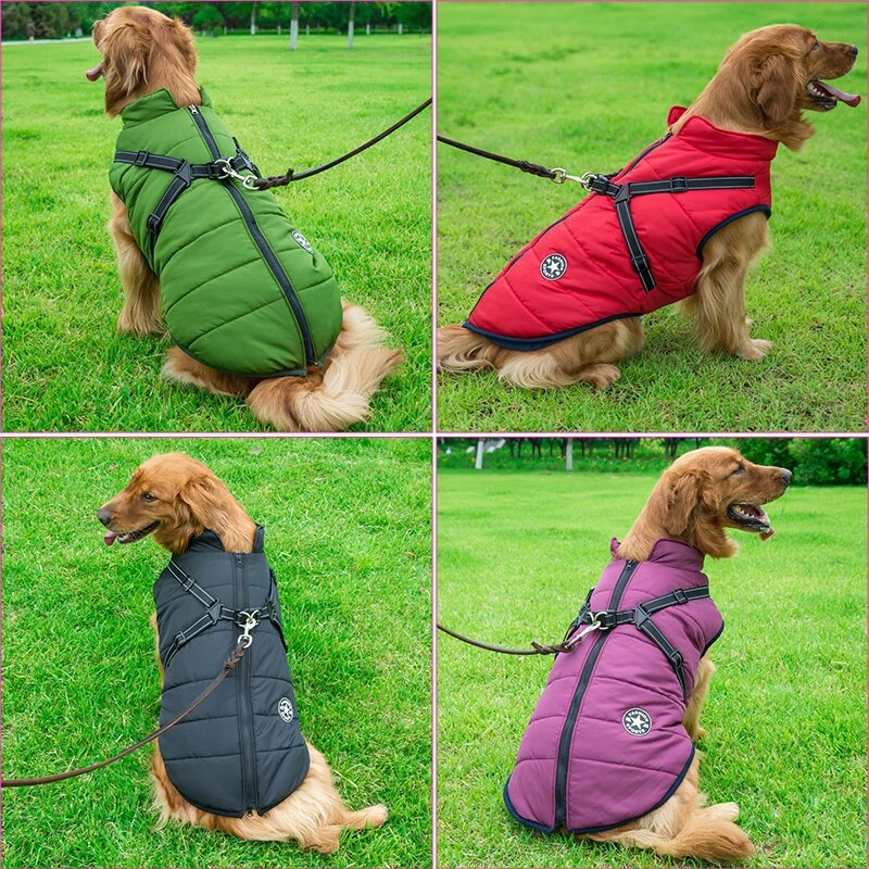 Vandtæt Hundejakke med Indbygget Sele og Varmt Beskyttende Foder
