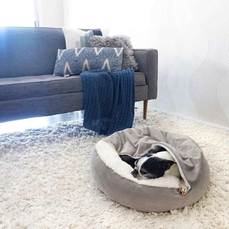 Vinterhundehule - SnuggleNest til hunde