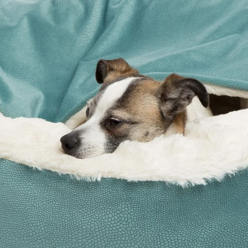 Vinterhundehule - SnuggleNest til hunde