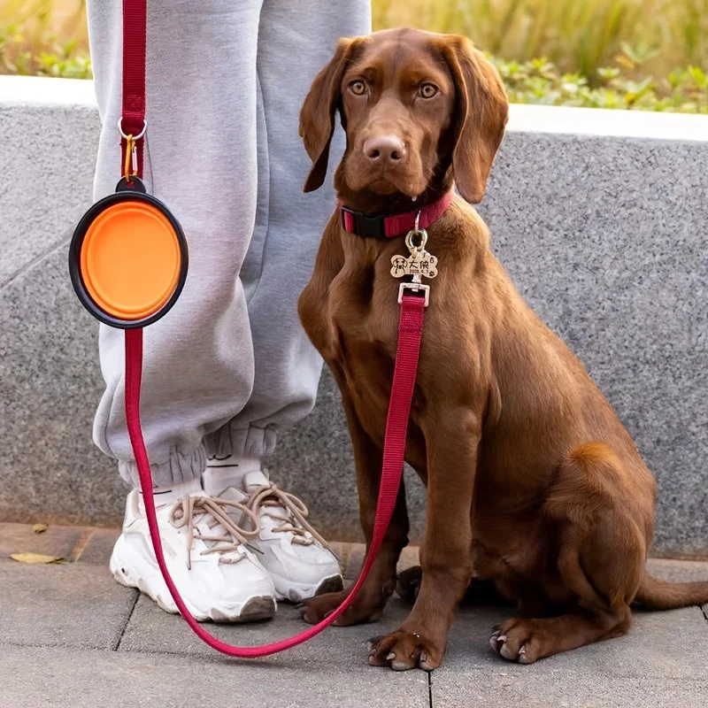 Foldbar Skål til Dyr – Holdbar og Pladsbesparende til Hunde og Katte