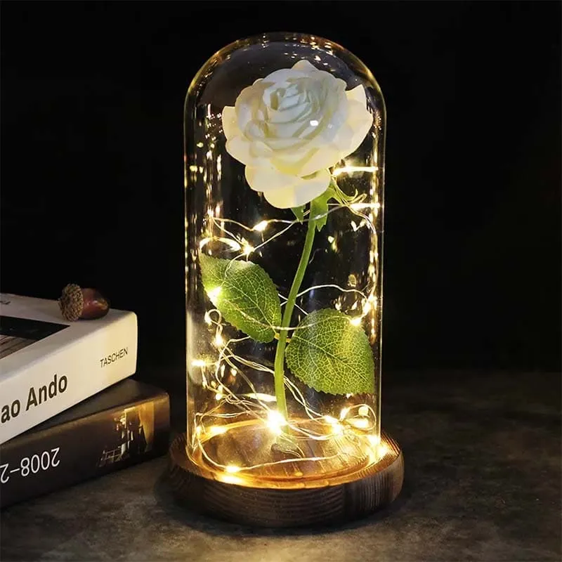 Eternelle Rose under Glaskuppel – Hjertevarme