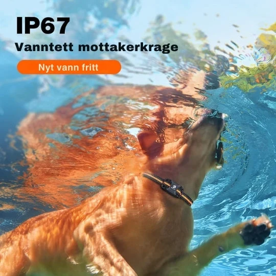 SmartCollar - Trådløs hundetræner med justerbare funktioner