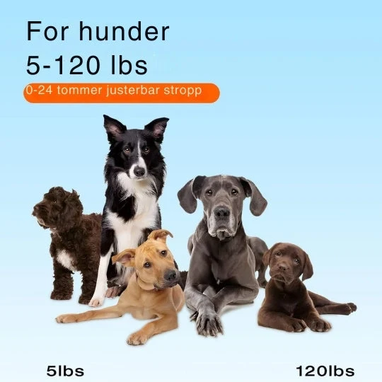 SmartCollar - Trådløs hundetræner med justerbare funktioner