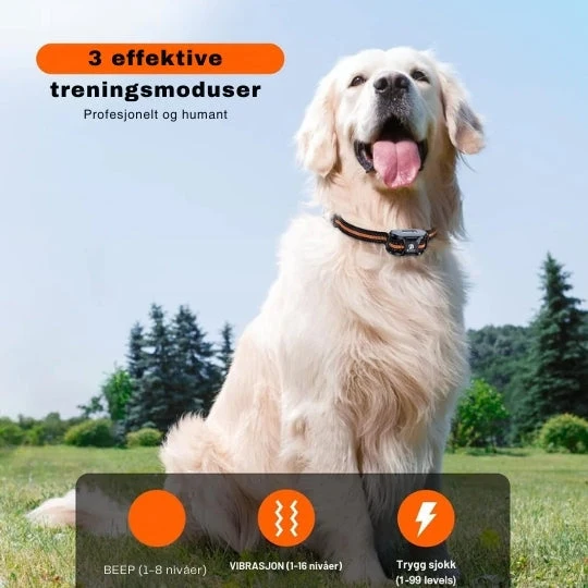SmartCollar - Trådløs hundetræner med justerbare funktioner
