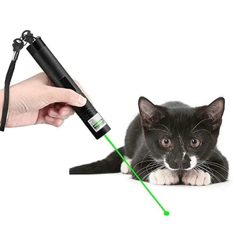 Kraftfuld Laserpointer med Præcision og Holdbarhed