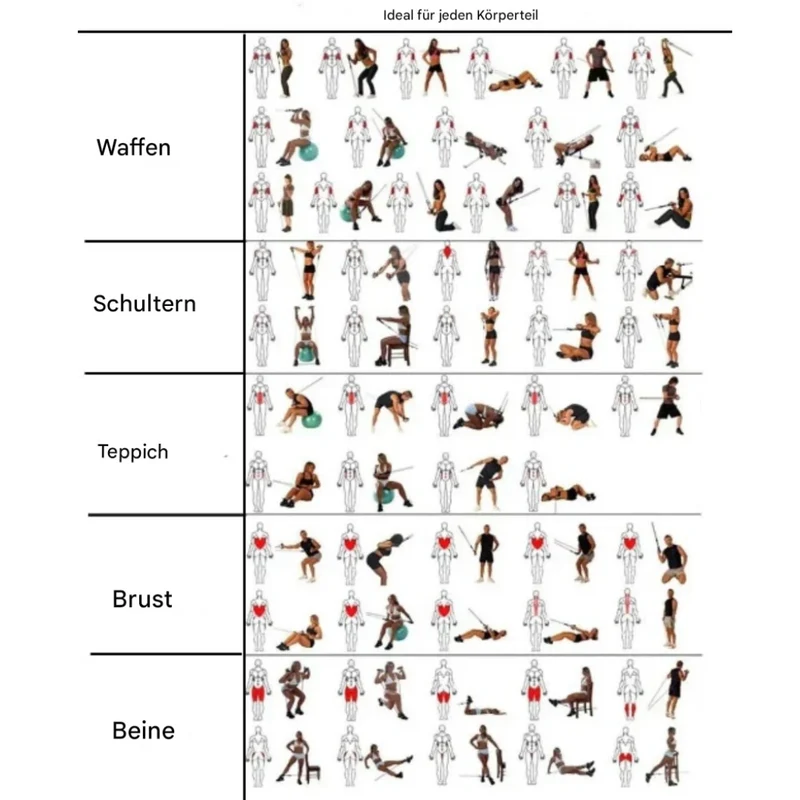 Modular Træningsbånd – FitFlex