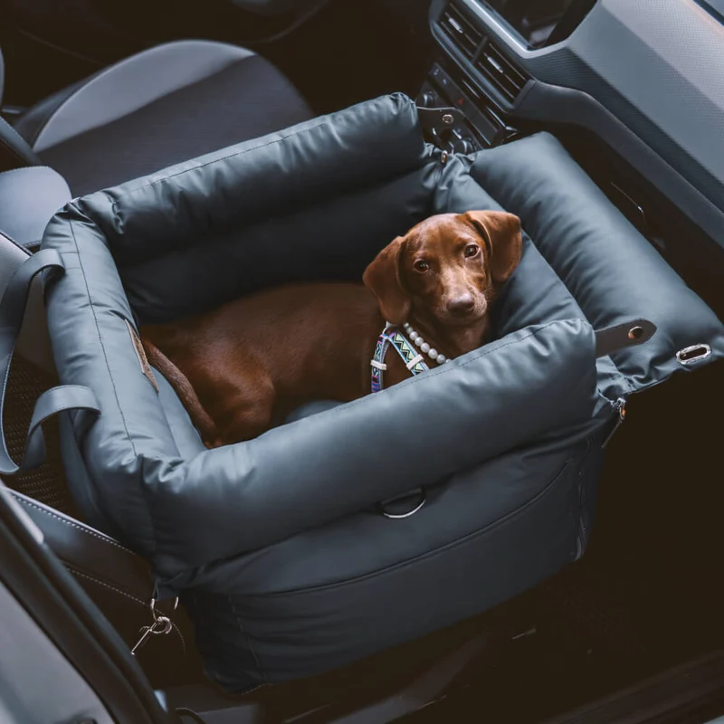 Komfortabel Hundesæde til Bil - PawsitiveRide