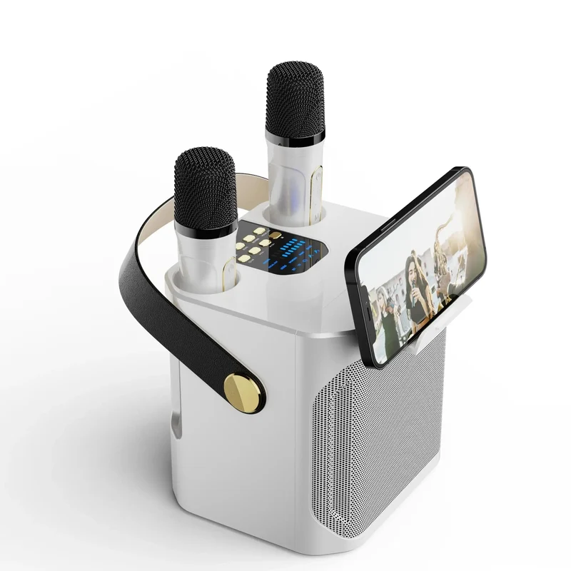 Bærbar Bluetooth Karaoke Højttaler med 360° Surroundlyd