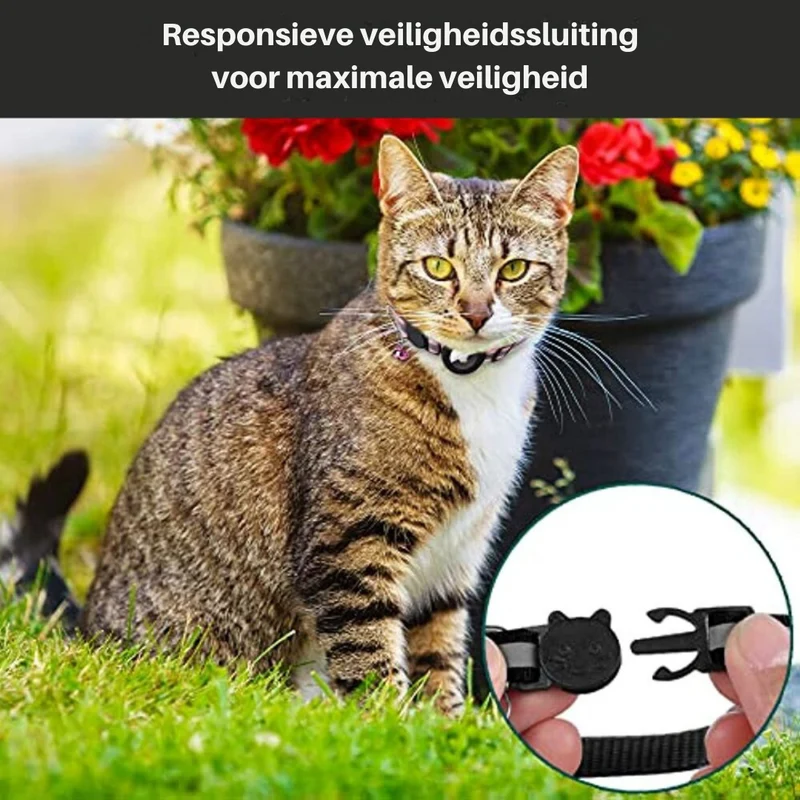 Sikkerhedssnor til kat med lukning