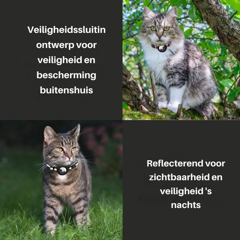 Sikkerhedssnor til kat med lukning