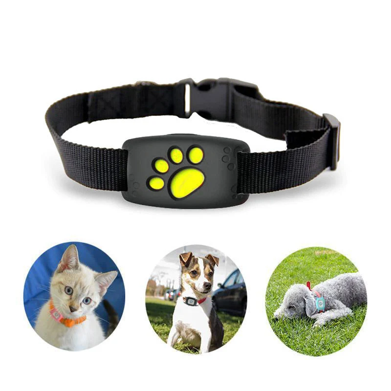 Intelligent GPS-halsbånd til små hunde og katte
