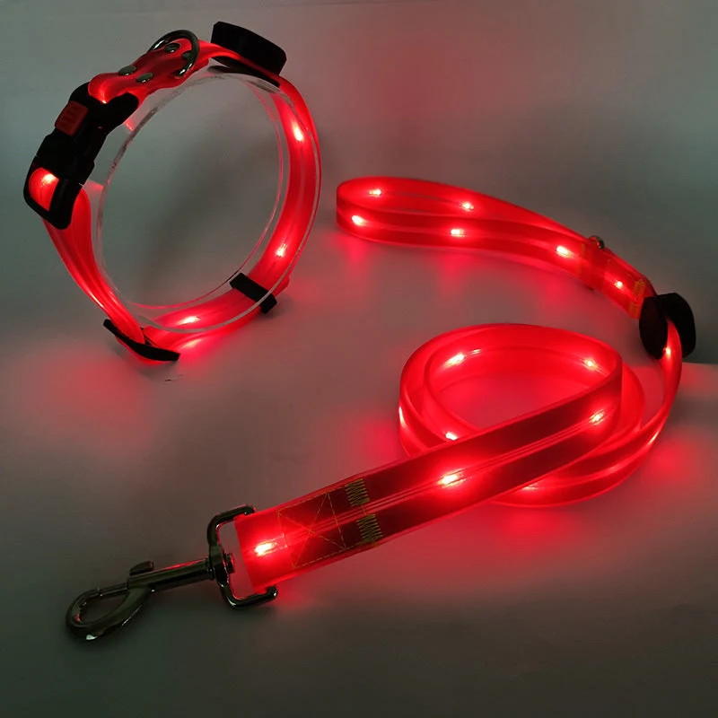 Hundehalsbånd med LED lys og snor - NightBright