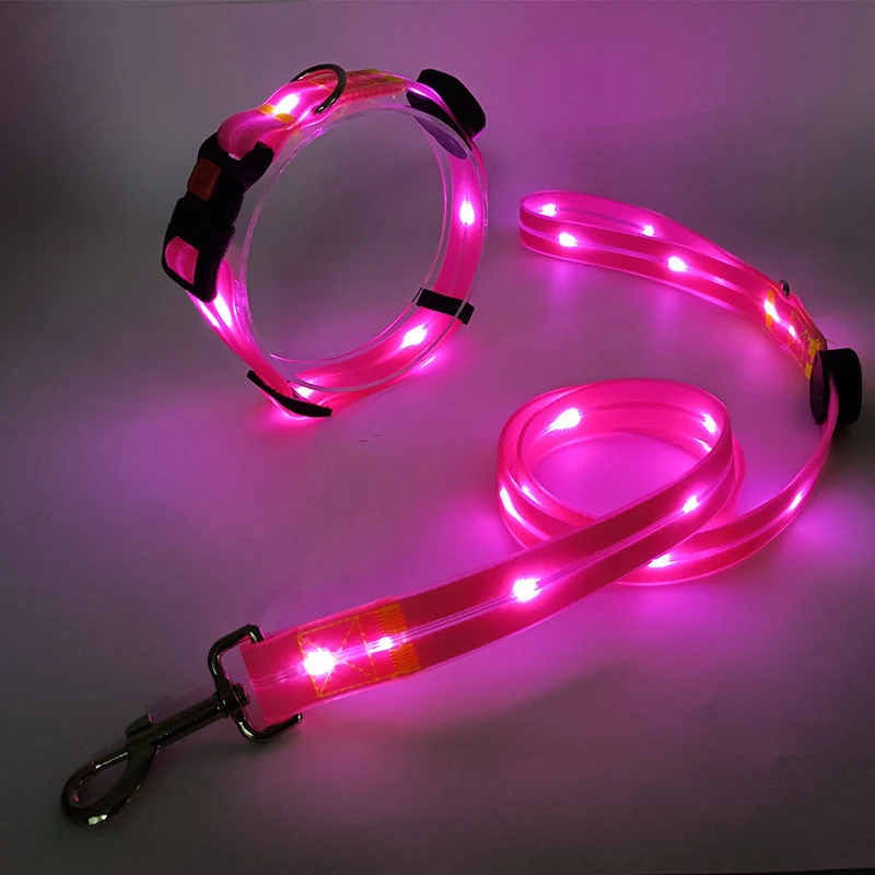 Hundehalsbånd med LED lys og snor - NightBright