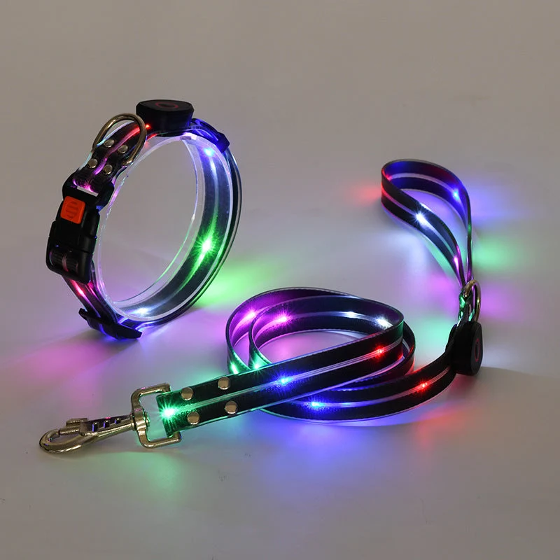 Hundehalsbånd med LED lys og snor - NightBright