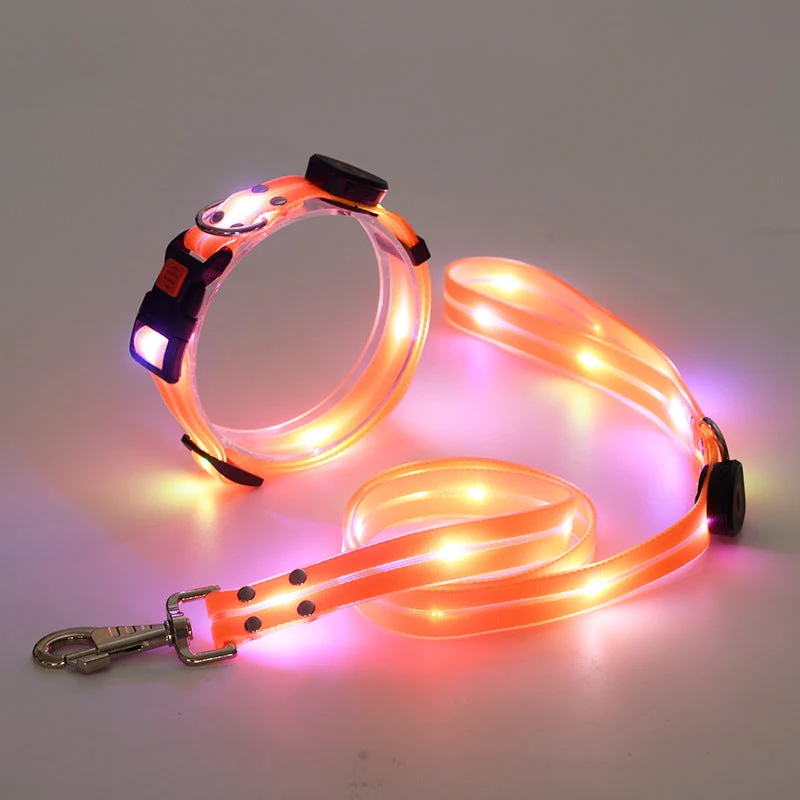 Hundehalsbånd med LED lys og snor - NightBright